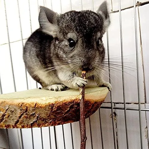 Sharllen palitos de manzana para masticar mascotas, conejos, chinchilla y cobayas