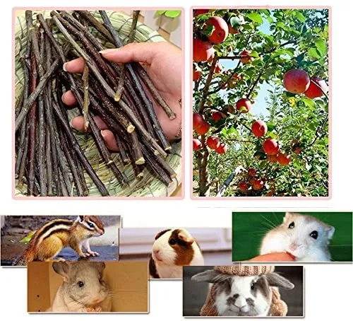 Sharllen palitos de manzana para masticar mascotas, conejos, chinchilla y cobayas