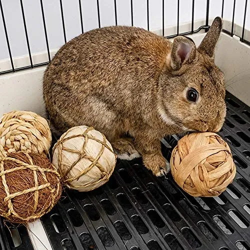 andwe - Pelotas de juguete para masticar juguetes para conejos, cobayas, conejos, conejos, chinchilla, conejito Degus, accesorios de entretenimiento para mascotas