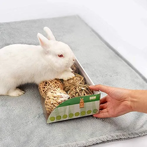 andwe - Pelotas de juguete para masticar juguetes para conejos, cobayas, conejos, conejos, chinchilla, conejito Degus, accesorios de entretenimiento para mascotas