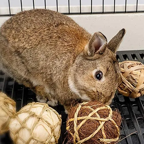 andwe - Pelotas de juguete para masticar juguetes para conejos, cobayas, conejos, conejos, chinchilla, conejito Degus, accesorios de entretenimiento para mascotas