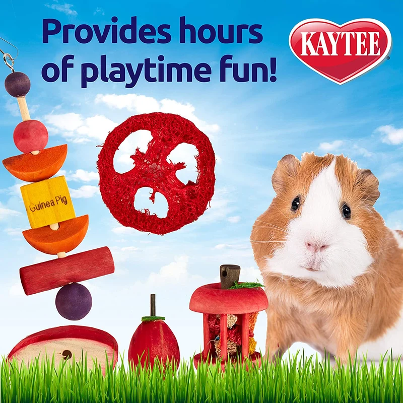 Kaytee Masticar & Treat - Juego de juguetes para cobayas (5 unidades)