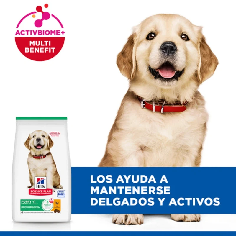 Hill's Science Plan Puppy Razas Grandes Pollo Pienso para Cachorros