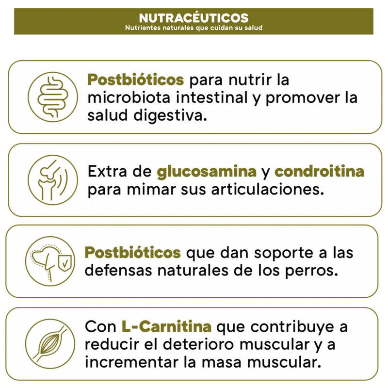 Picart Select Adult Sensitive Lamb & Rice Pienso para Perros de Cordero y Arroz