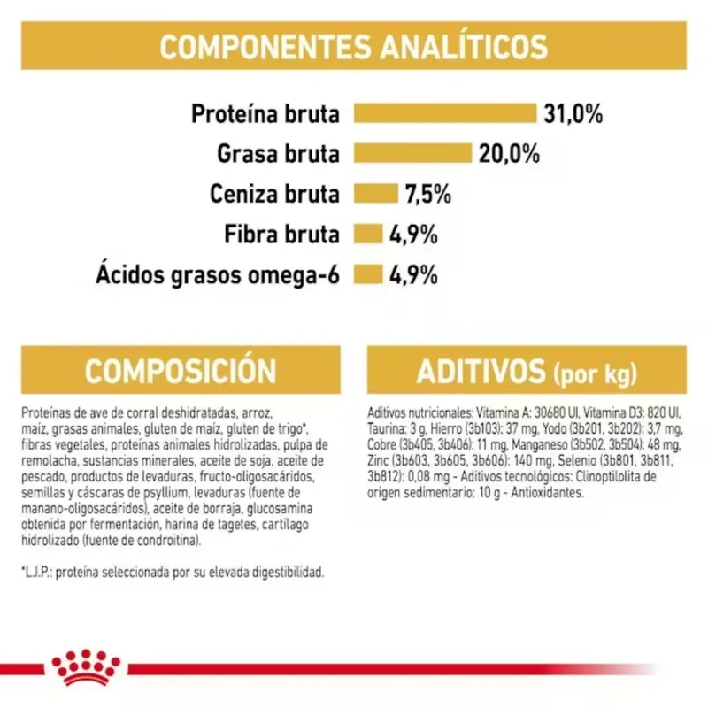 Royal Canin Maine Coon 31 Pienso para Gatos Adultos