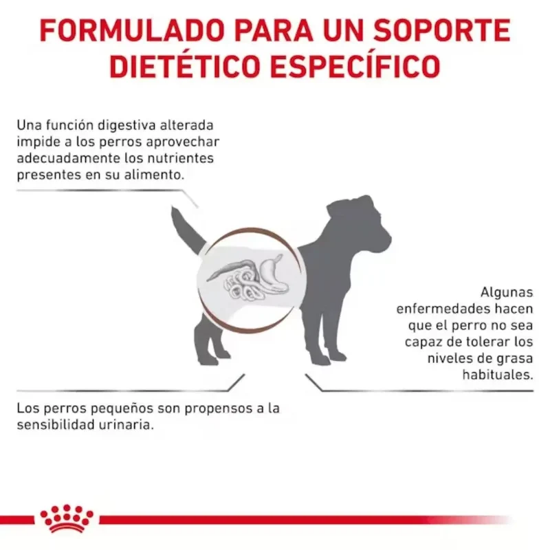 Royal Canin Veterinary Gastrointestinal Low Fat Small Dog Pienso para Perros