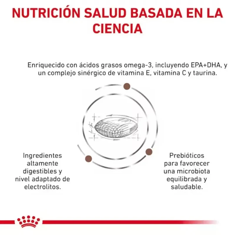Royal Canin Veterinary Gastrointestinal Low Fat Small Dog Pienso para Perros