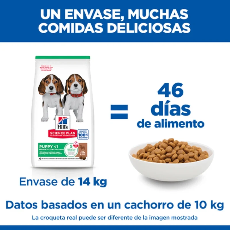 Hill'S Science Plan Medium Puppy Cordero y Arroz 14 kg Alimento para Perros
