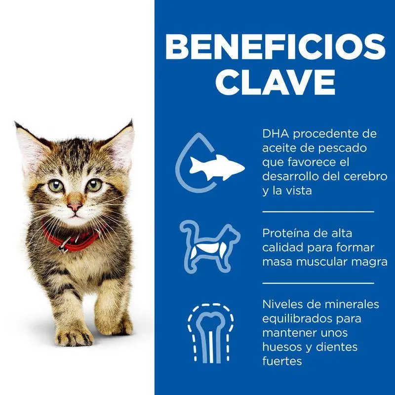Hill'S Science Plan Kitten Pollo 7 kg Alimento para Gatos