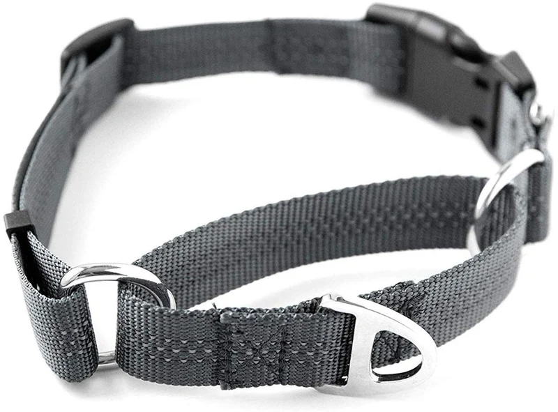 Collar de entrenamiento de nailon Mighty Paw Martingale. Nuestro collar de zapatillas de entrenamiento aprobado limitado. Collar de cincha modificado para una fuerza controlada para un entrenamiento óptimo. Costuras reflectantes para mantener a tu perro s