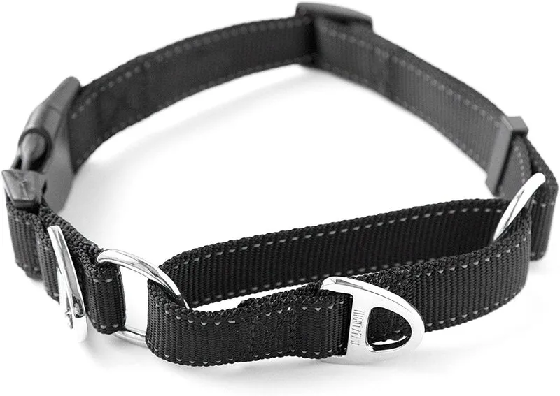 Collar de entrenamiento de nailon Mighty Paw Martingale. Nuestro collar de zapatillas de entrenamiento aprobado limitado. Collar de cincha modificado para una fuerza controlada para un entrenamiento óptimo. Costuras reflectantes para mantener a tu perro s