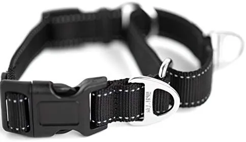 Collar de entrenamiento de nailon Mighty Paw Martingale. Nuestro collar de zapatillas de entrenamiento aprobado limitado. Collar de cincha modificado para una fuerza controlada para un entrenamiento óptimo. Costuras reflectantes para mantener a tu perro s