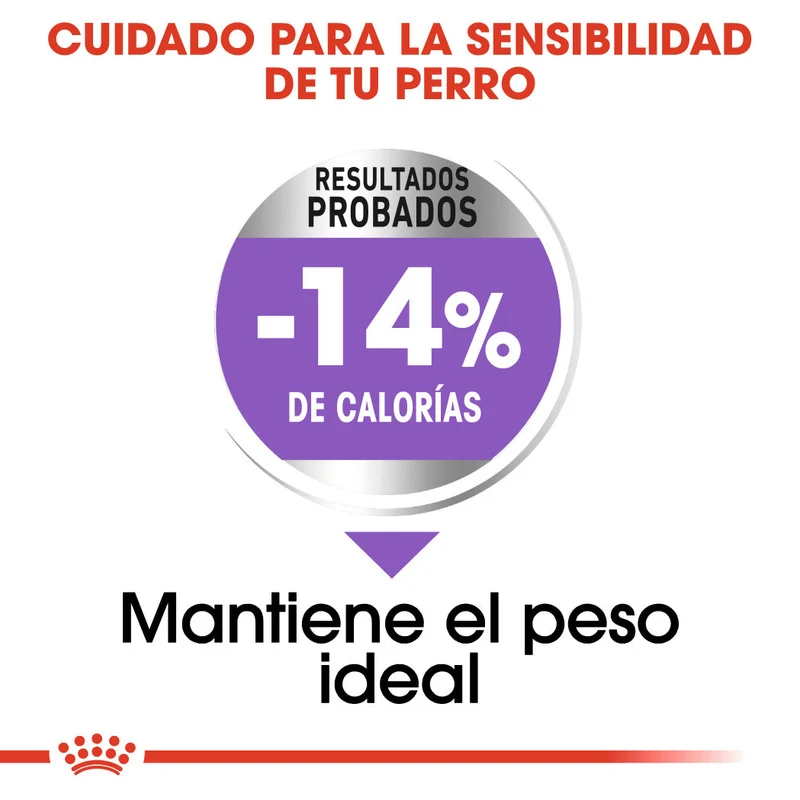 Royal Canin Maxi Sterilized Care Pienso para Perros Esterilizados
