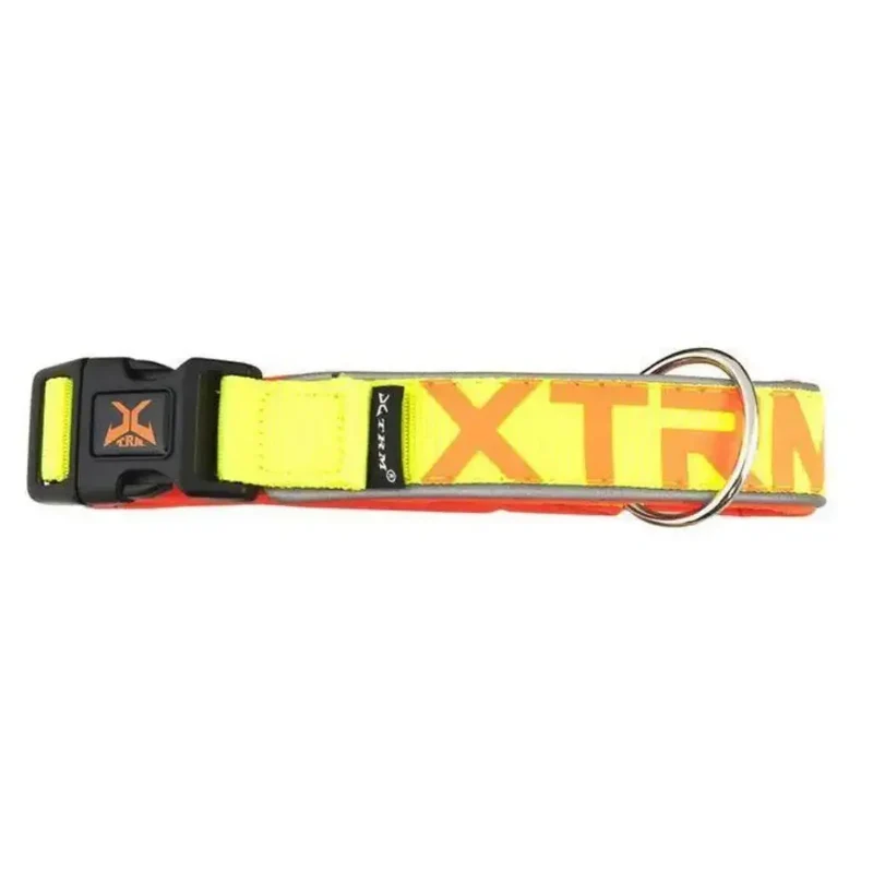 Collar X-Trm Neon Flash Naranja 38Mmx65-75 cm
