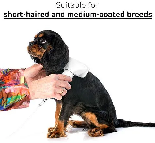 iPettie - Secador de pelo 2 en 1 para mascotas con cepillo para cortar | mejor ajuste para razas de pelo corto y con revestimiento mediano