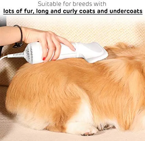 iPettie - Secador de pelo 2 en 1 para mascotas con cepillo para cortar | mejor ajuste para razas de pelo corto y con revestimiento mediano