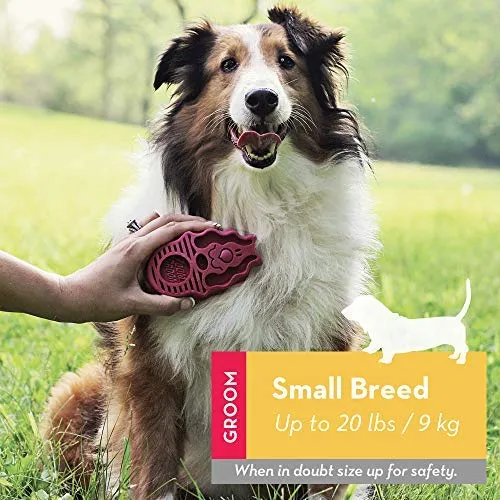 KONG ZoomGroom - Cepillo para perros (tamaño pequeño), color frambuesa