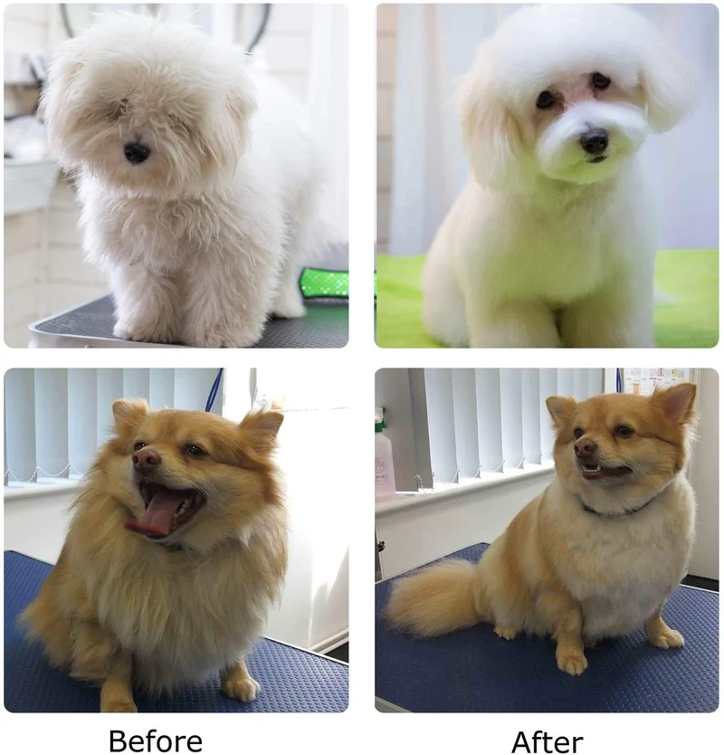 Cepillo para perros y perros, cepillo de limpieza y peine de metal, cepillo profesional para mascotas para perros pequeños, medianos y grandes, gatos y conejos, incluye pelos y mascotas