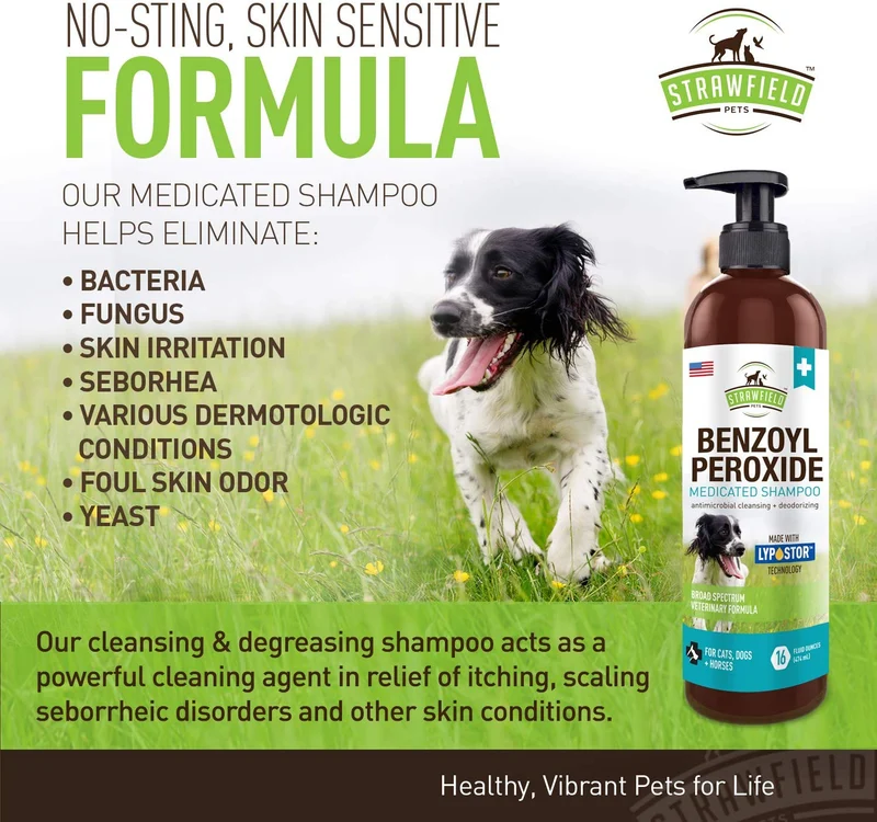 Benzoyl Peroxide Champú para Perros, Gatos, Sulfur - 16 oz - Champú Medicado para Perros Smelly, Anti Itch Dry Skin Allergy Treatment, Folliculitis, Seborrea, Dermatitis, Caspa, Infección, Mange