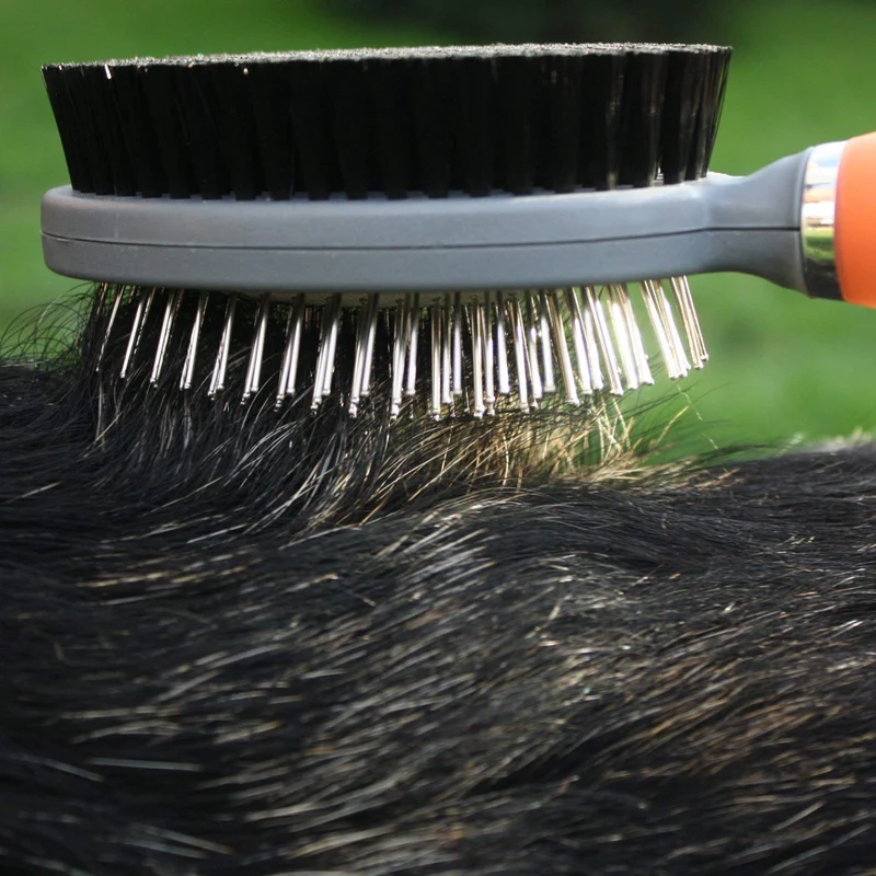 Alfiler de doble cara profesional y cepillo de cerdas para perros y gatos por GoPets peine de limpieza limpia mascotas mudando, para pelo corto, mediano o largo