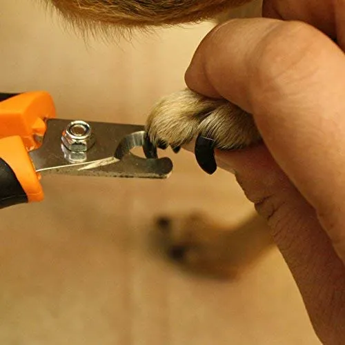 Cortauñas para perros y gatos GoPets con 1 lima de uñas, color naranja/negro