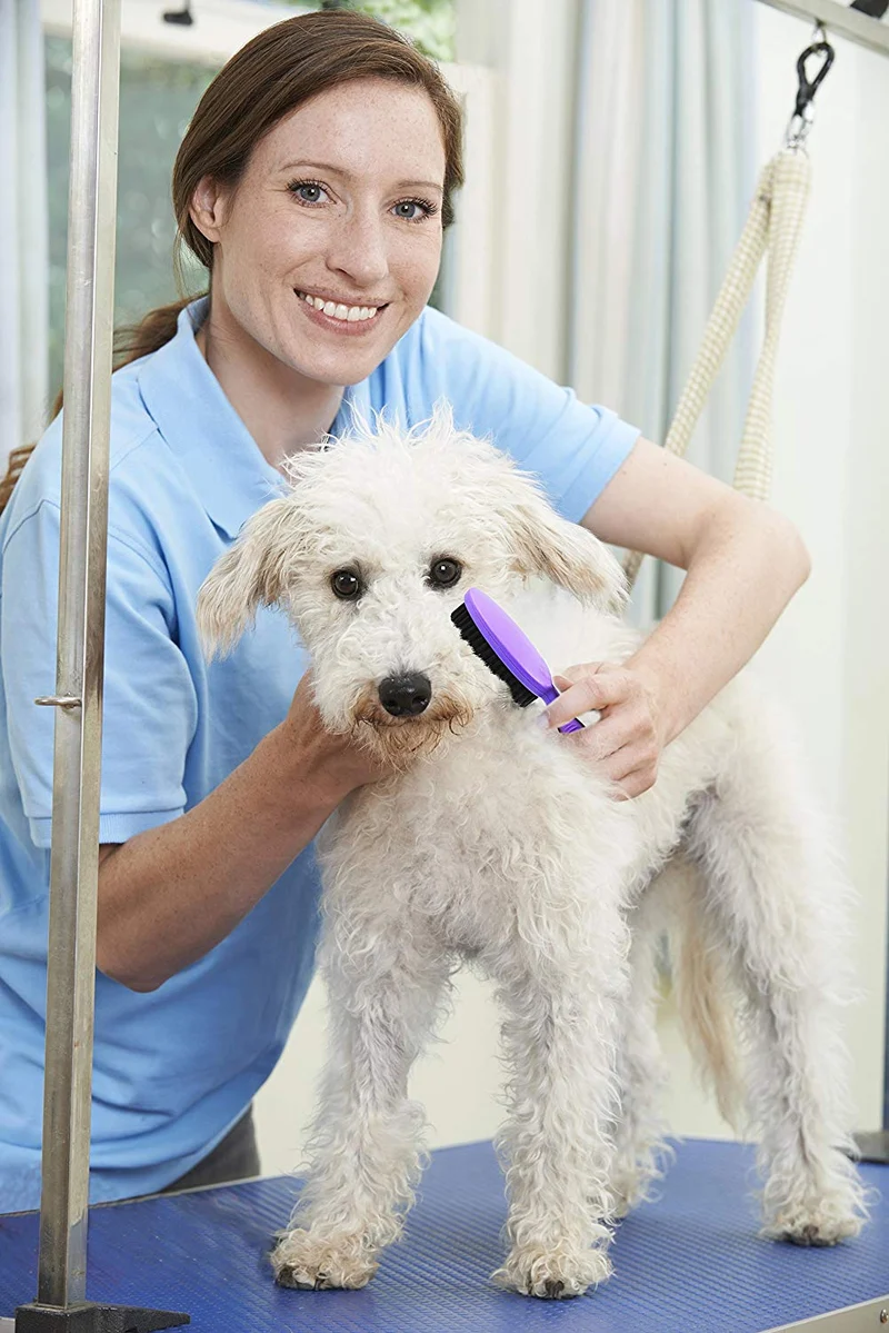 Pincel de cerdas por hertzko – para perros y gatos con larga o de pelo corto – densa cerdas quitar el vello Loose, dander, polvo y suciedad de su Mascota de parte superior Coat