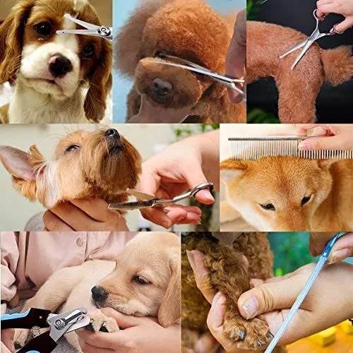 Freewindo - Juego de tijeras de peluquería para perros, punta redonda de seguridad, tijeras de acero inoxidable para perros y cortaúñas para perros para el cuidado de todo el cuerpo