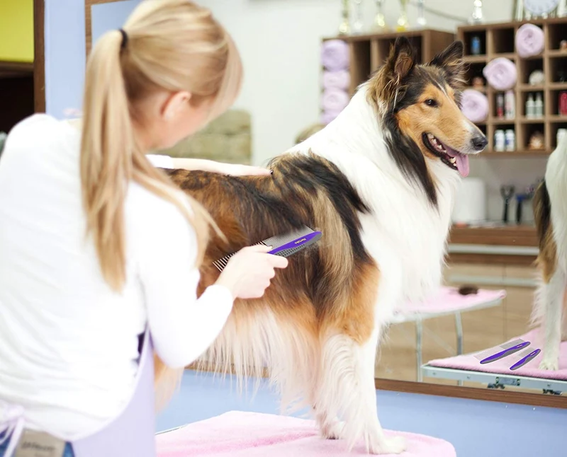 2 unidades Pet Peine peines por hertzko – Grande y Pequeño incluido para tanto grande y pequeño esferas – Elimina los enredos, Nudos, Loose Fur y la suciedad. Ideal para uso diario para perros y gatos con corto o cabello largo