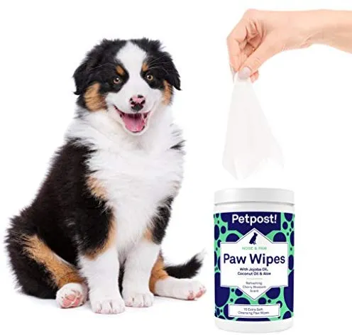 Petpost | Toallitas para patas para perros – Limpia y calma las patas de perro picante – 70 almohadillas de algodón ultra suaves y grandes en aceite de coco, aceite de jojoba y limpiador de aloe