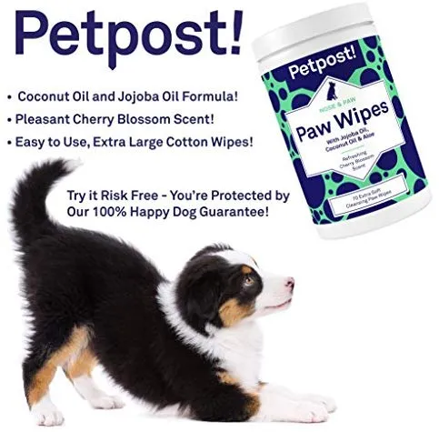 Petpost | Toallitas para patas para perros – Limpia y calma las patas de perro picante – 70 almohadillas de algodón ultra suaves y grandes en aceite de coco, aceite de jojoba y limpiador de aloe
