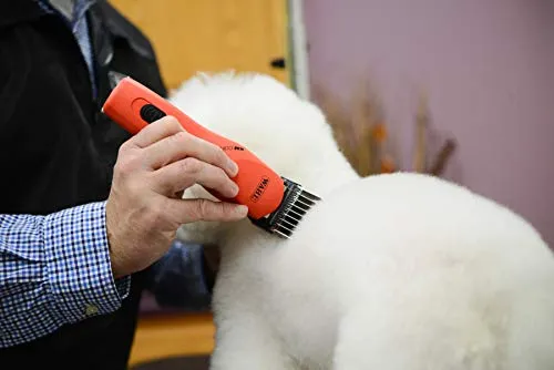 Peine Wahl Animal N.° 5 inoxidable profesional 1/8 de pulgada N.° 3371, 100