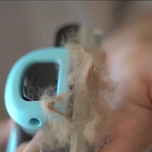 Petgle - Cepillo para perros y gatos, reduce eficazmente la pérdida de pelo, cepillo de aseo profesional y herramienta de desenredado para perros y gatos