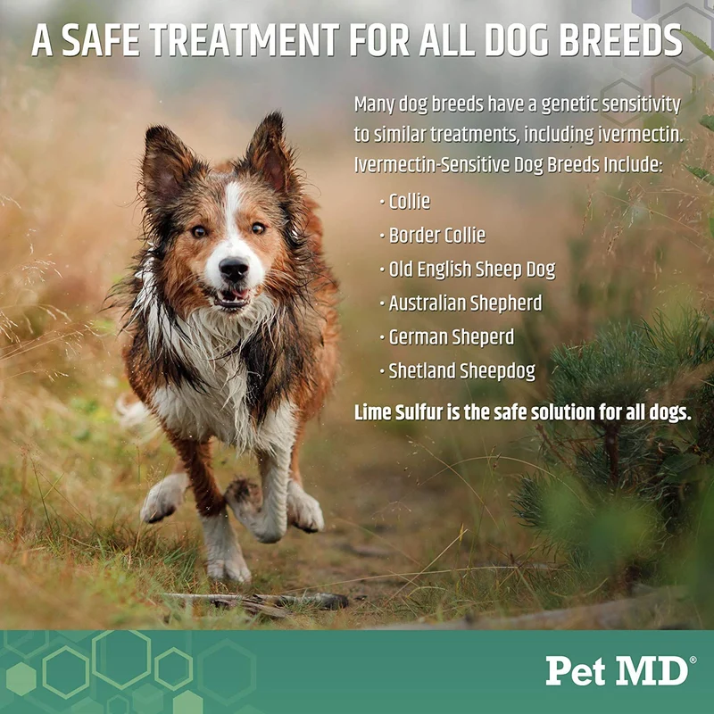 Pet MD Lime Sulfur Dip for Dogs, Cats, Horses - Mange Treatment, Ringworm, Skin Mites, Lice, Fungal and Bacterial Infections - 16 oz Shampoo