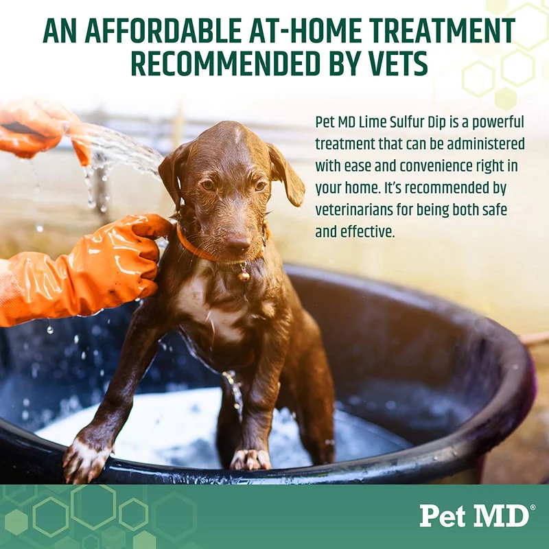 Pet MD Lime Sulfur Dip for Dogs, Cats, Horses - Mange Treatment, Ringworm, Skin Mites, Lice, Fungal and Bacterial Infections - 16 oz Shampoo