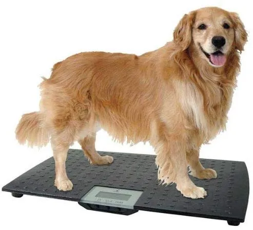Báscula para mascotas W. C. Redmon Pet, escala grande, L, Negro