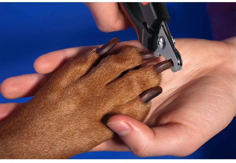 HAWATOUR Cortauñas para perro, cortauñas profesional para mascotas