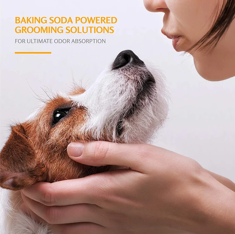 Champú desodorante para perros Arm & Hammer | Champú eliminador de olores para perros y cachorros smelly | Kiwi Blossom, 20 oz