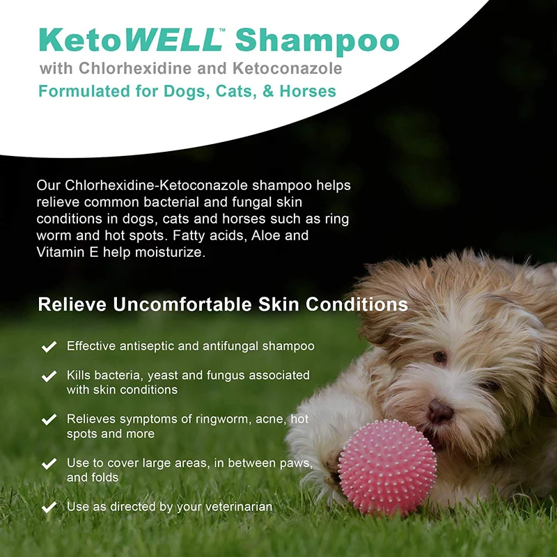 Champú Ketoconazole de clorhexidina para perros y gatos – Champú antifúngico y antiséptico medicado para el tratamiento de gusanos de anillo, infecciones de la levadura, acné, nariz y puntos calientes, avena y aloe aroma de menta de 304 ml