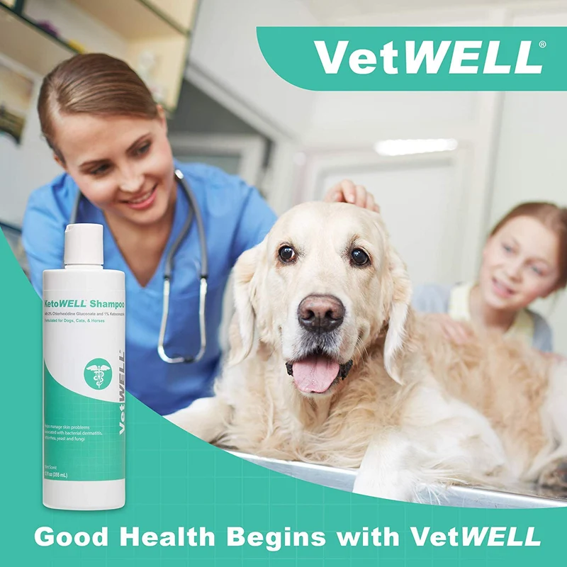 Champú Ketoconazole de clorhexidina para perros y gatos – Champú antifúngico y antiséptico medicado para el tratamiento de gusanos de anillo, infecciones de la levadura, acné, nariz y puntos calientes, avena y aloe aroma de menta de 304 ml