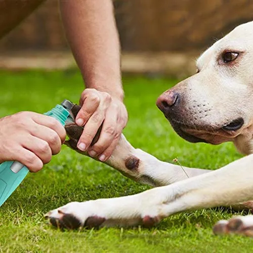 Toozey Molinillo de uñas para perro con 2 ruedas de molienda, profesional, 2 velocidades, eléctrico, recargable, bajo nivel de ruido, cortaúñas para mascotas, sin dolor, cuidado y suavizante para perros y gatos pequeños y medianos