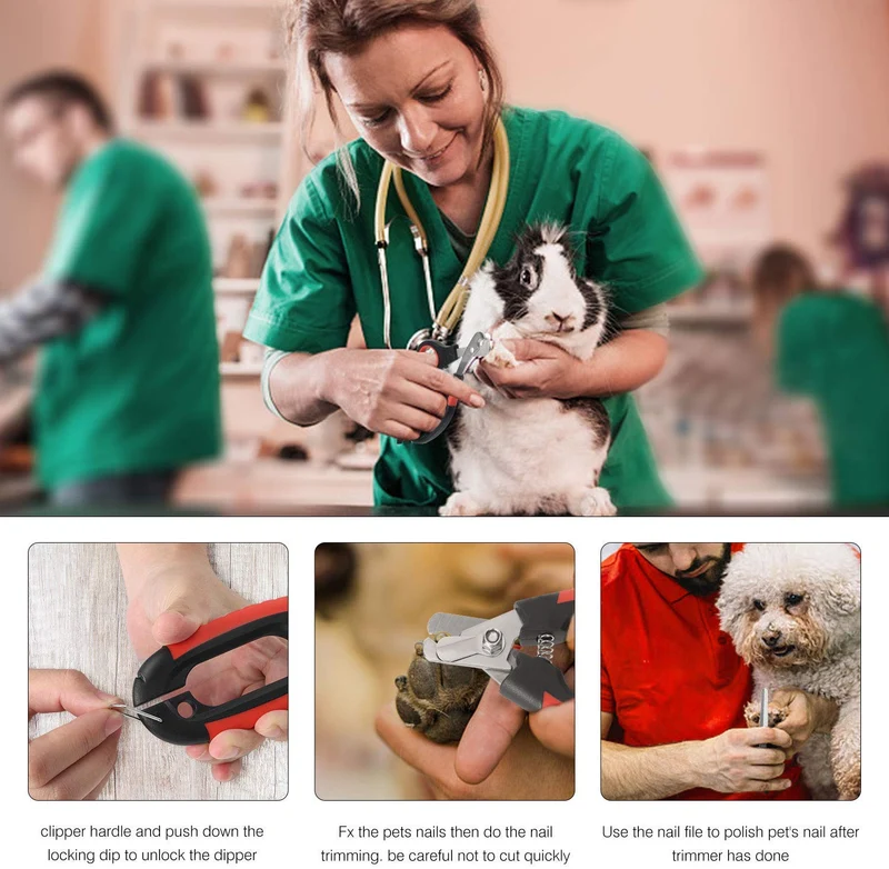 Kissin - Cortaúñas para perros, protección de seguridad rápida para evitar cortes en exceso, cortaúñas de acero inoxidable 4 en 1, para mascotas, profesional y seguro