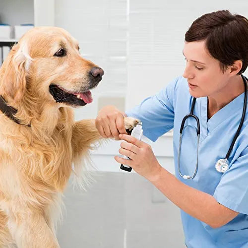 oneisall - Molinillo de uñas para perros, 2 velocidades, silencioso, recargable por USB, profesional, para mascotas, cuidado de uñas y cuidado de garras para perros y gatos pequeños, medianos y grandes