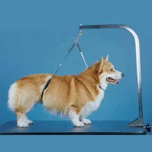 Downtown Pet Supply - Soporte plegable para perros pequeños, medianos y grandes, S-M