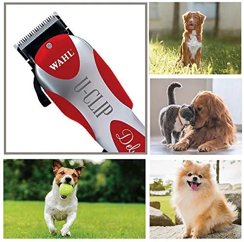 Wahl Professional Animal Deluxe - Kit de peluquería para mascotas, perros, gatos y gatos, #9484-300