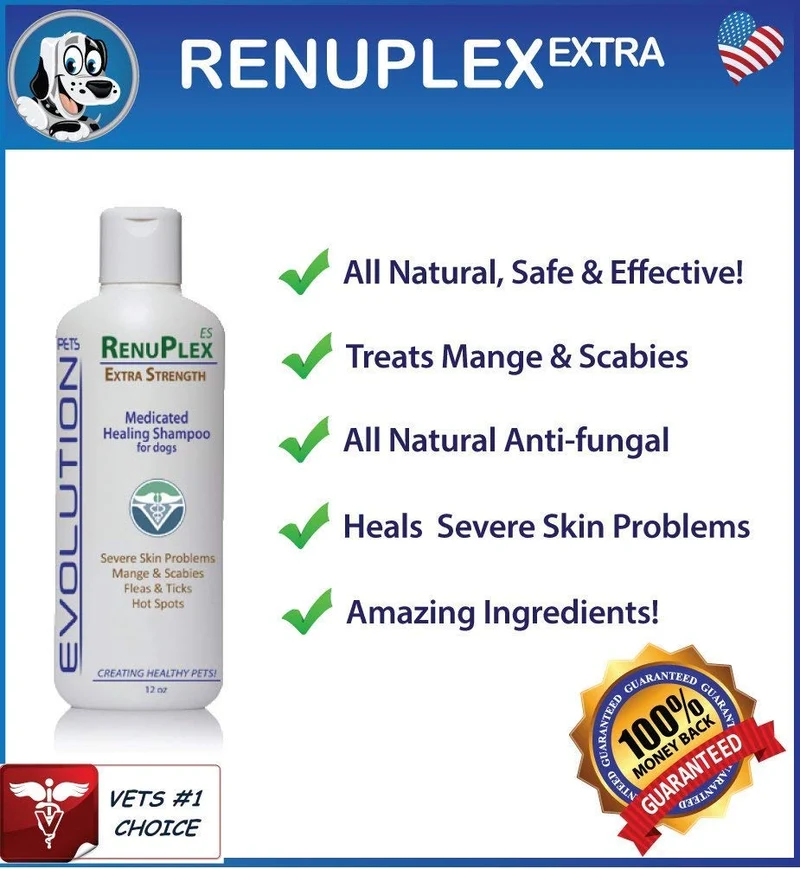 Champú para perros tratados por sarna. Champú antihongos RenuPlex, extra fuerte para perros. Elimina sarna, ácaros y costras. Champú antihongos, All Natural para perro. .
