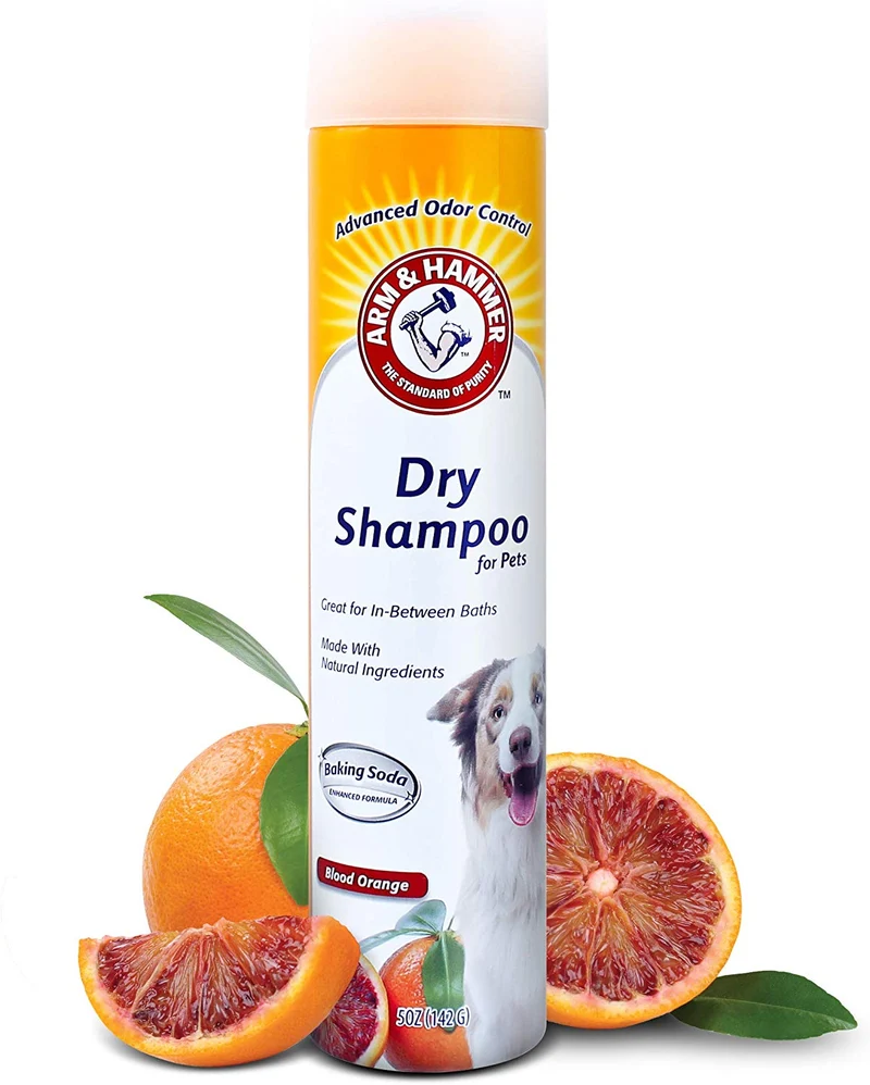 Arm & Hammer Aerosol Champú seco para Perros | Champú sin agua Spray para Perros y Cachorros
