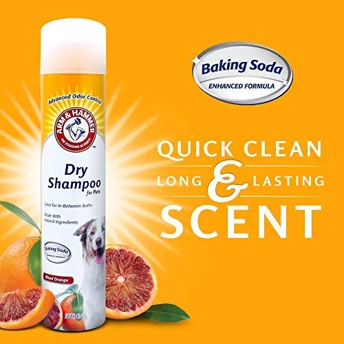 Arm & Hammer Aerosol Champú seco para Perros | Champú sin agua Spray para Perros y Cachorros