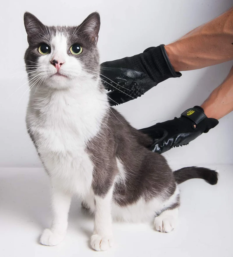 Guantes de aseo para mascotas Magasin [un par completo para ambas manos] – Guante de peluquería y baño para perros, gatos, caballos y otros animales con pelo largo y corto