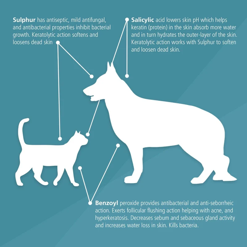 Champú medicado con peróxido de benzoilo para perros y gatos de Pet MD, eficaz para seborrea, caspa, sarna, alivio de picaduras de insectos, acné y foliculitis, aroma cítrico, de 12 onzas.