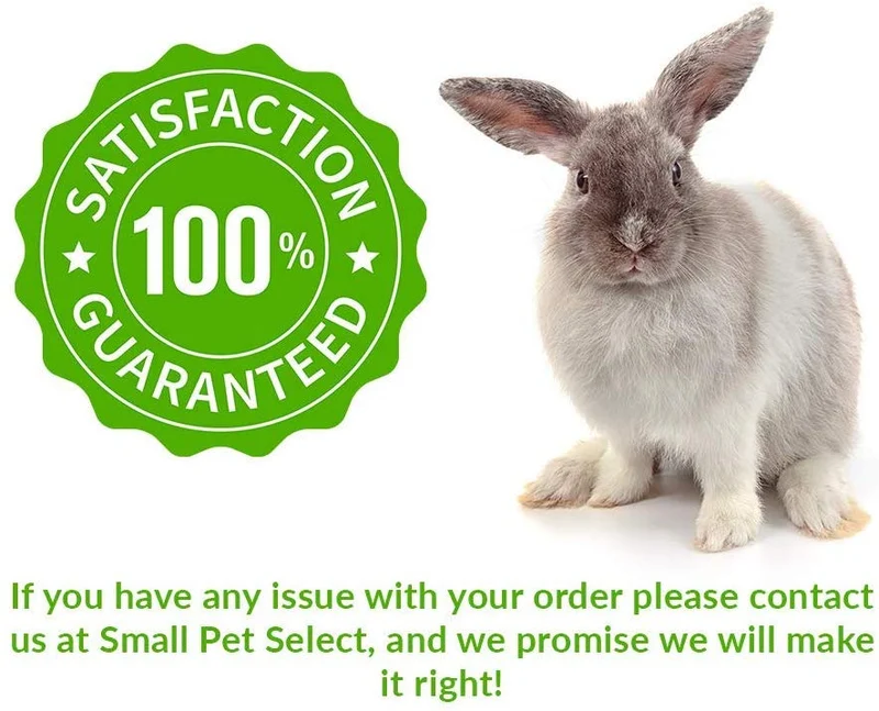 Peine para mascotas de Small Pet Select HairBuster, herramienta para descamación de conejos, gatos y perros, Paquete de 10